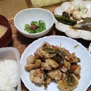 主人も喜ぶ！5分でできる！ししとうと鶏肉の甘辛炒め